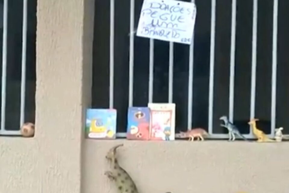 Menino realiza exposição de brinquedos na porta de casa para doar para outras crianças em Goiânia