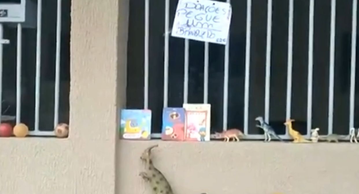 Menino realiza exposição de brinquedos na porta de casa para doar para outras crianças em Goiânia