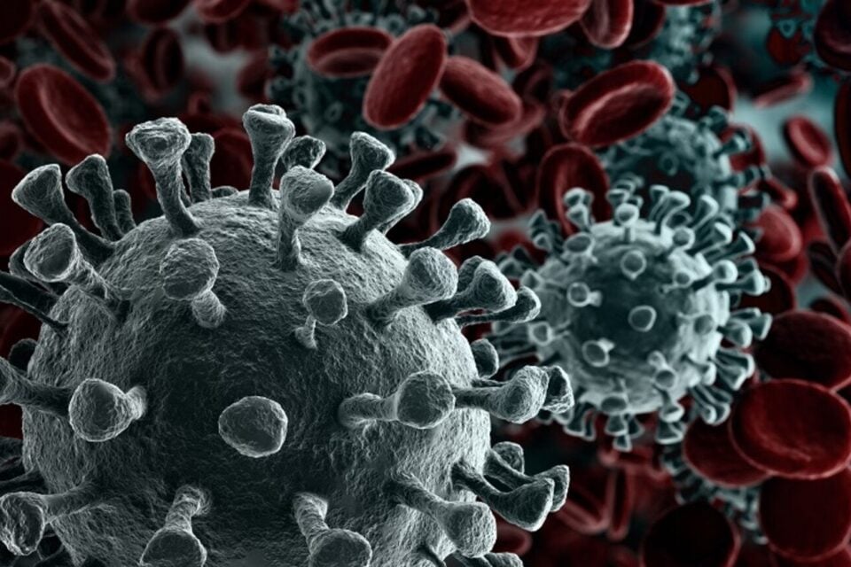 Pênis, testículos e próstata podem passar por alterações após infecção por Coronavírus, mostra estudo