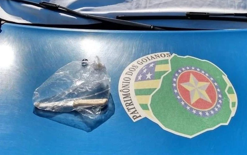 Mulher esfaqueia cachorro que tentou impedir que ela roubasse a ex-namorada em Abadia (GO)