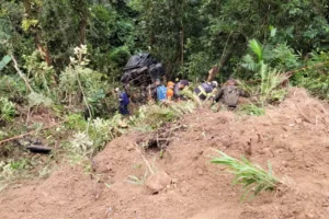 Caminhão caiu em ribanceira em estrada que fica entre Indaial e Blumenau — Foto: Corpo de Bombeiros/ Divulgação