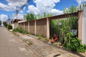 Segundo moradores mato alto gera proliferação de mosquitos e animais peçonhentos. (Foto: Leitor Mais Goiás)