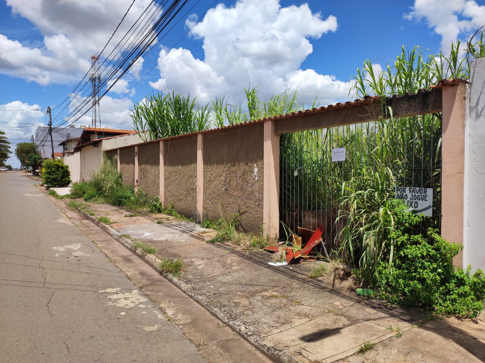 Segundo moradores mato alto gera proliferação de mosquitos e animais peçonhentos. (Foto: Leitor Mais Goiás)