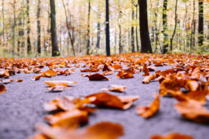 O outono começa neste domingo (20) com sol e possibilidade de chuva no estado de Goiás. A informação é do Centro de Informações Meteorológicas e Hidrológicas do Estado de Goiás (Cimehgo).