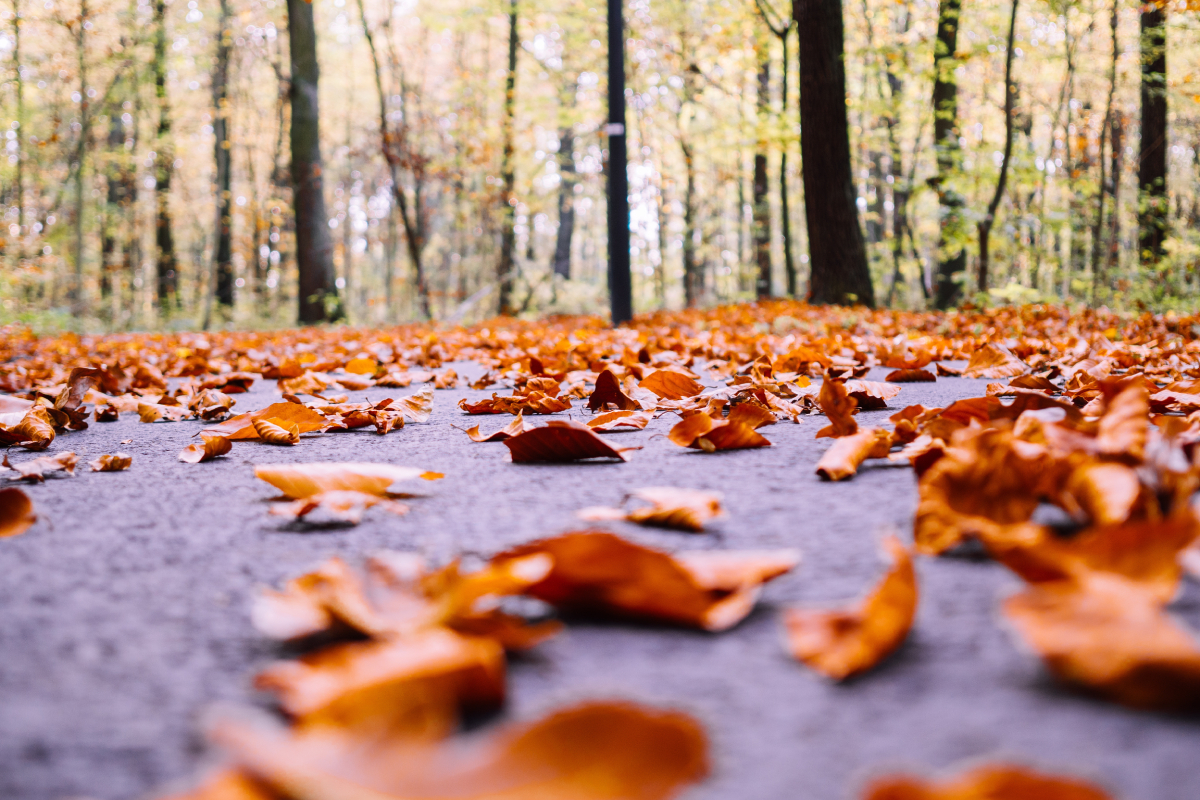 O outono começa neste domingo (20) com sol e possibilidade de chuva no estado de Goiás. A informação é do Centro de Informações Meteorológicas e Hidrológicas do Estado de Goiás (Cimehgo).