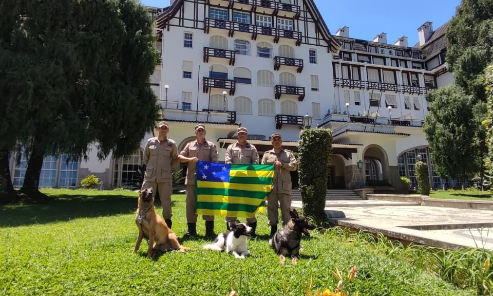 Equipes retornam nesta quarta-feira (Foto: Divulgação/Bombeiros Goiás)