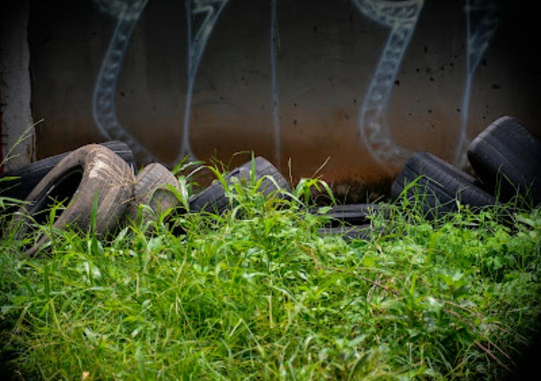 Moradores denunciam possíveis focos de dengue em deposito de carros no setor Goiânia 2