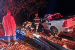 Acidente entre camionete e caminhão termina com morte em Santa Terezinha de Goiás