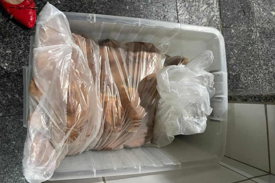 Vereadores denunciam condições precárias em hospital de Goiânia (Foto: Jucimar Sousa - Mais Goiás)