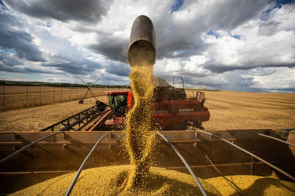 Governo cria aplicativo para ajudar produtores rurais de Goiás a emitir nota fiscal (Foto: Governo do Estado)