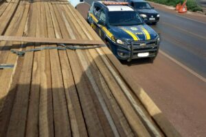 PRF apreende caminhão com madeira irregular na BR-452 em Rio Verde (GO)