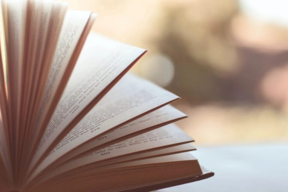 Bibliotecas em Corumbá de Goiás recebem doações de mais de 330 livros