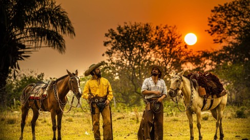 Primeiro capítulo de 'Pantanal' será exibido no 'BBB 22' antes da estreia