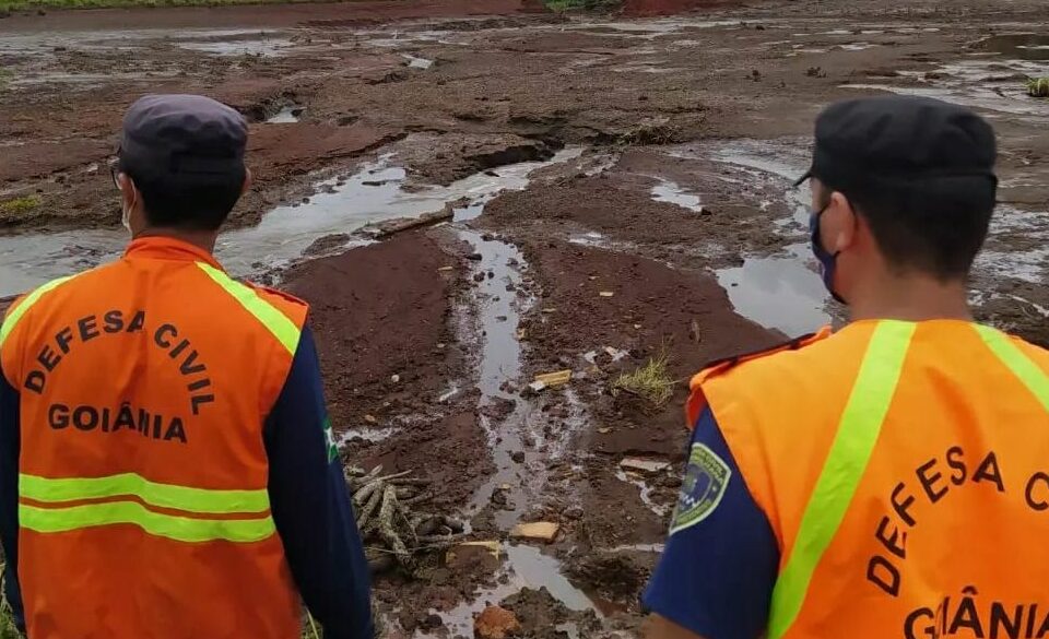 Levantamento aponta que foram realizadas 159 ocorrências, dessas 139 necessitaram de imediata da prefeitura