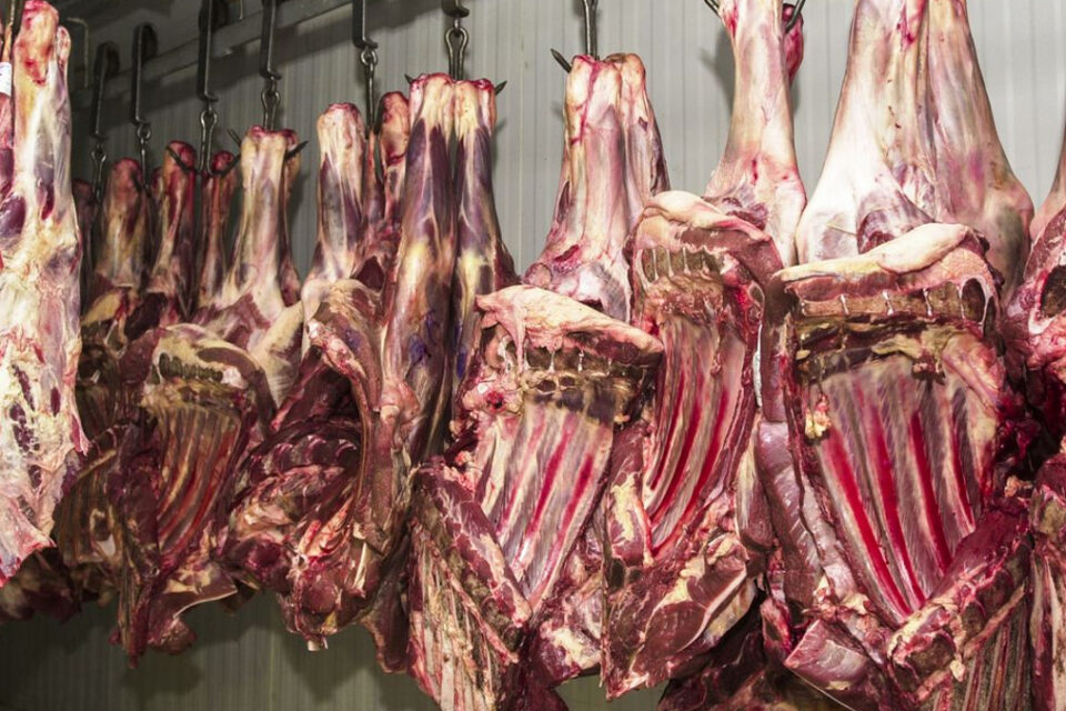 Governo quer ampliar municípios que fazem inspeção de produtos animais