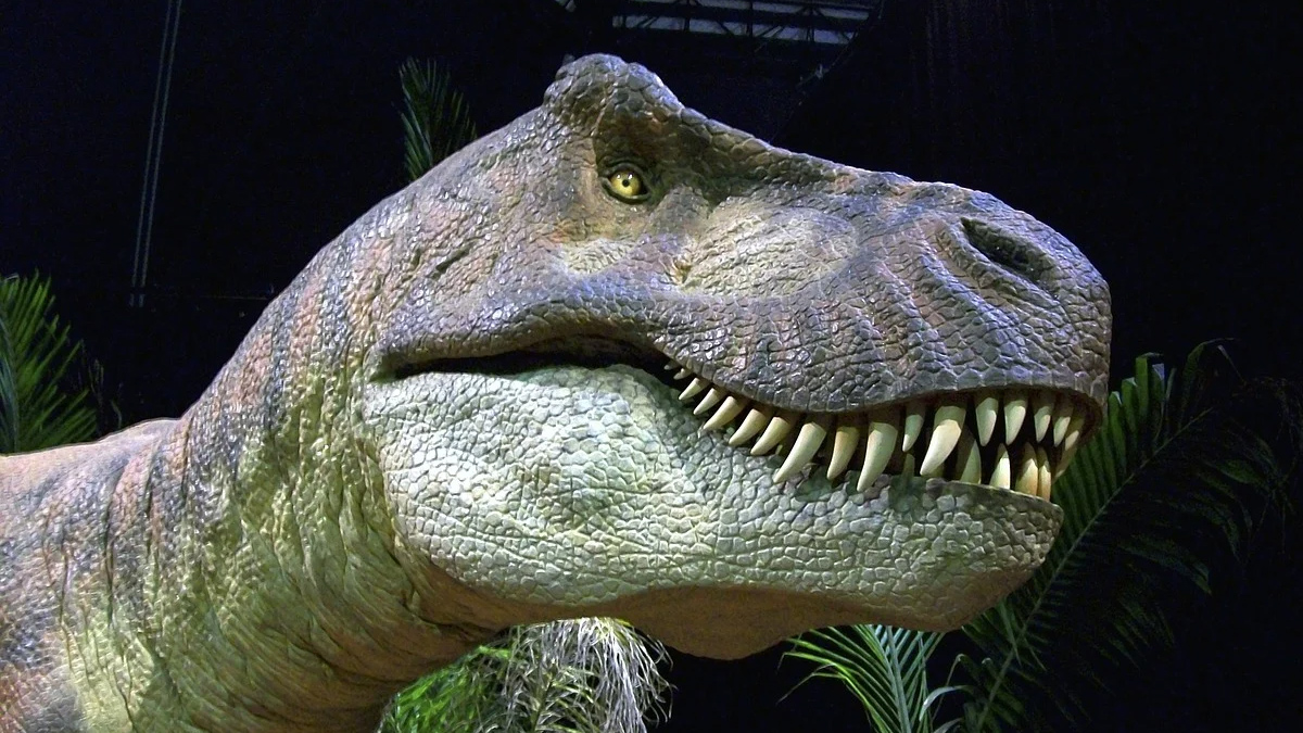 Tiranossauro rex pode ter sido três espécies diferentes, sugere estudo