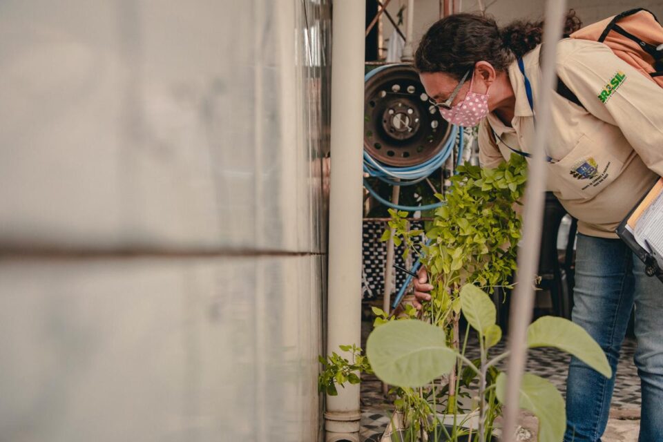 agente verificando possível foco de dengue na cidade