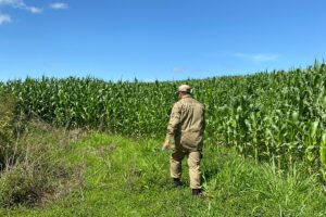 Bombeiros fazem busca no local. (Foto: Reprodução)