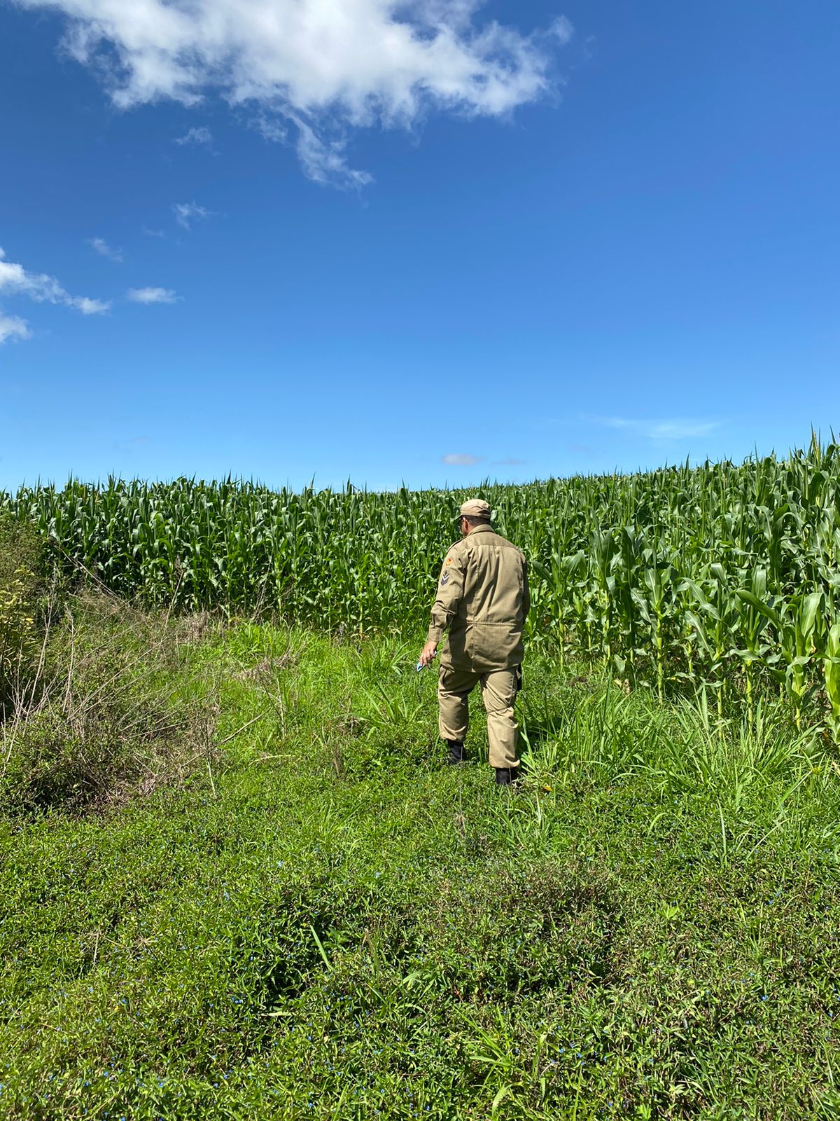 Bombeiros fazem busca no local. (Foto: Reprodução)