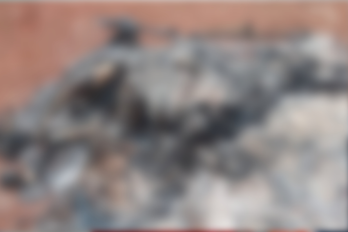 Ao que tudo indica, uma pessoa ateou fogo no cavalo e ainda colocou objetos para que as chamas não se apagassem (Foto: Divulgação – PC)