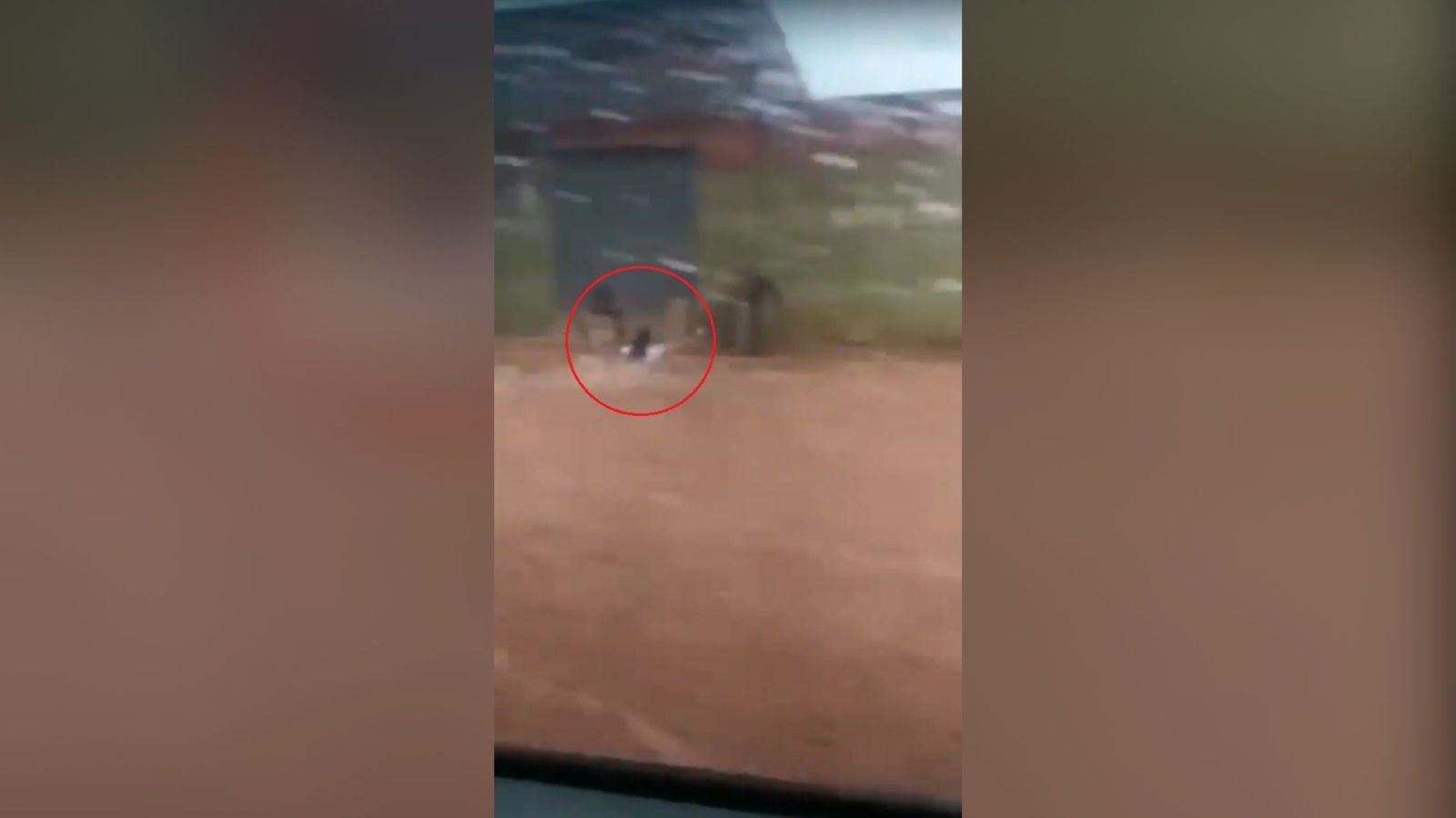 Chuva arrasta mulher, invade casas e alaga ruas no Entorno do DF