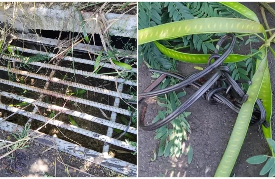 Polícia busca identificação do suspeito de abusar e amarrar mulher em bueiro em Rio Verde (GO)
