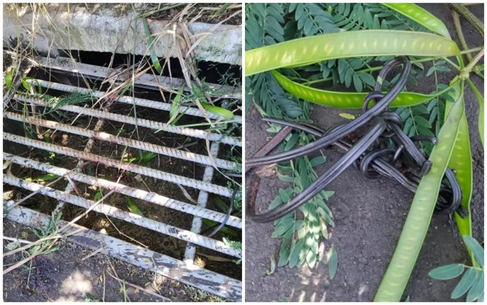 Polícia busca identificação do suspeito de abusar e amarrar mulher em bueiro em Rio Verde (GO)