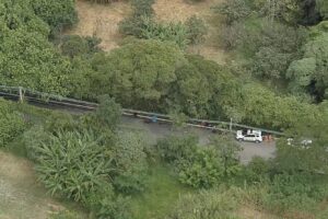 Polícia encontra corpo de mulher esquartejado em sacos plásticos em São Paulo