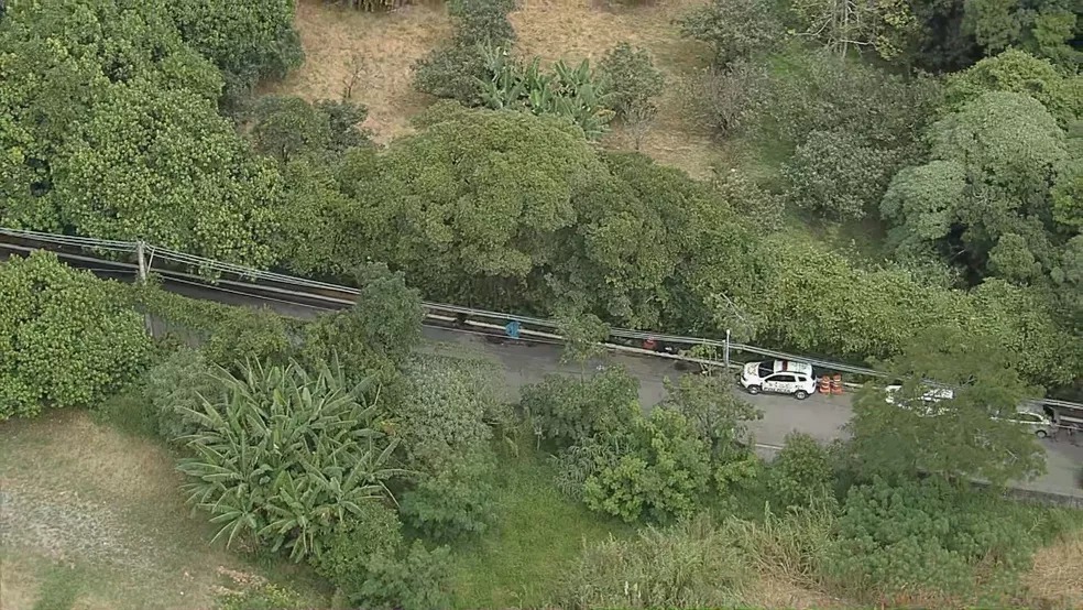 Polícia encontra corpo de mulher esquartejado em sacos plásticos em São Paulo