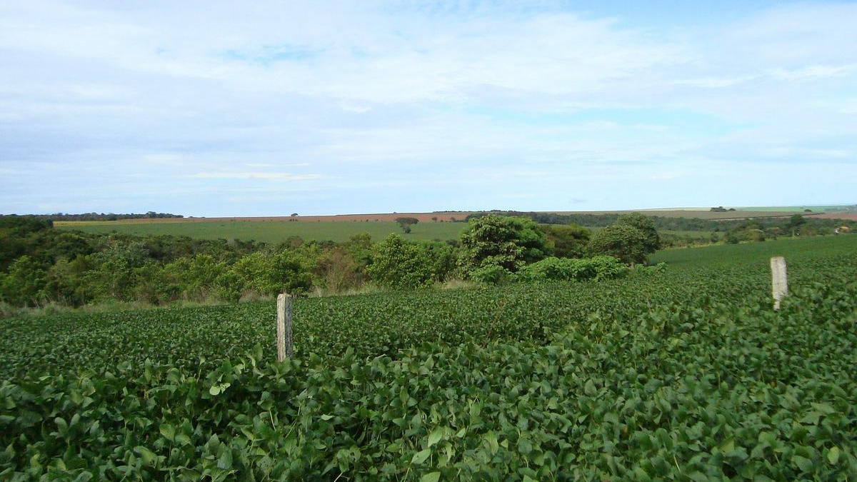 Agro gera 7.211 empregos formais de janeiro a março, em Goiás
