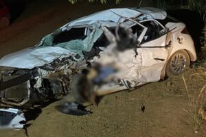 Ultrapassagem provoca acidente e deixa um morto e dois feridos na GO-474, em Abadiânia (GO) (Foto: Polícia Rodoviária Estadual)