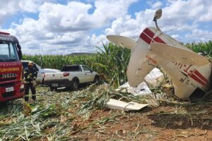 Homem de 55 anos morre após queda de avião perto da GO-346, em Cabeceiras (Foto: Bombeiros)