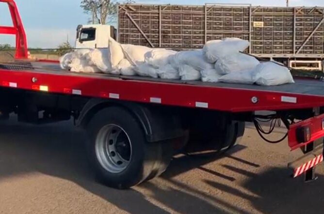 Casal é preso por transportar 400kg de agrotóxico irregular na BR-050, em Catalão (Foto: Divulgação/PRF)