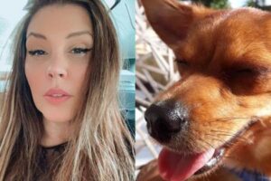 Simony pede ajuda para encontrar quem atropelou sua cachorrinha