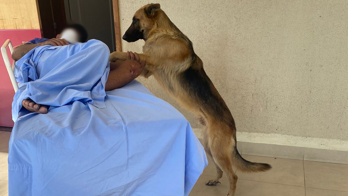 Homem passa mal em Mineiros e cachorro vai até UPA para aguardar alta