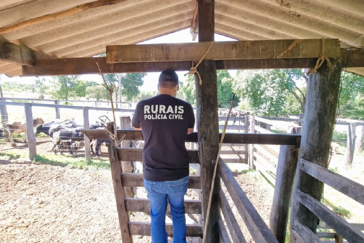 Suspeito também arrendou pasto sem autorização da vítima
