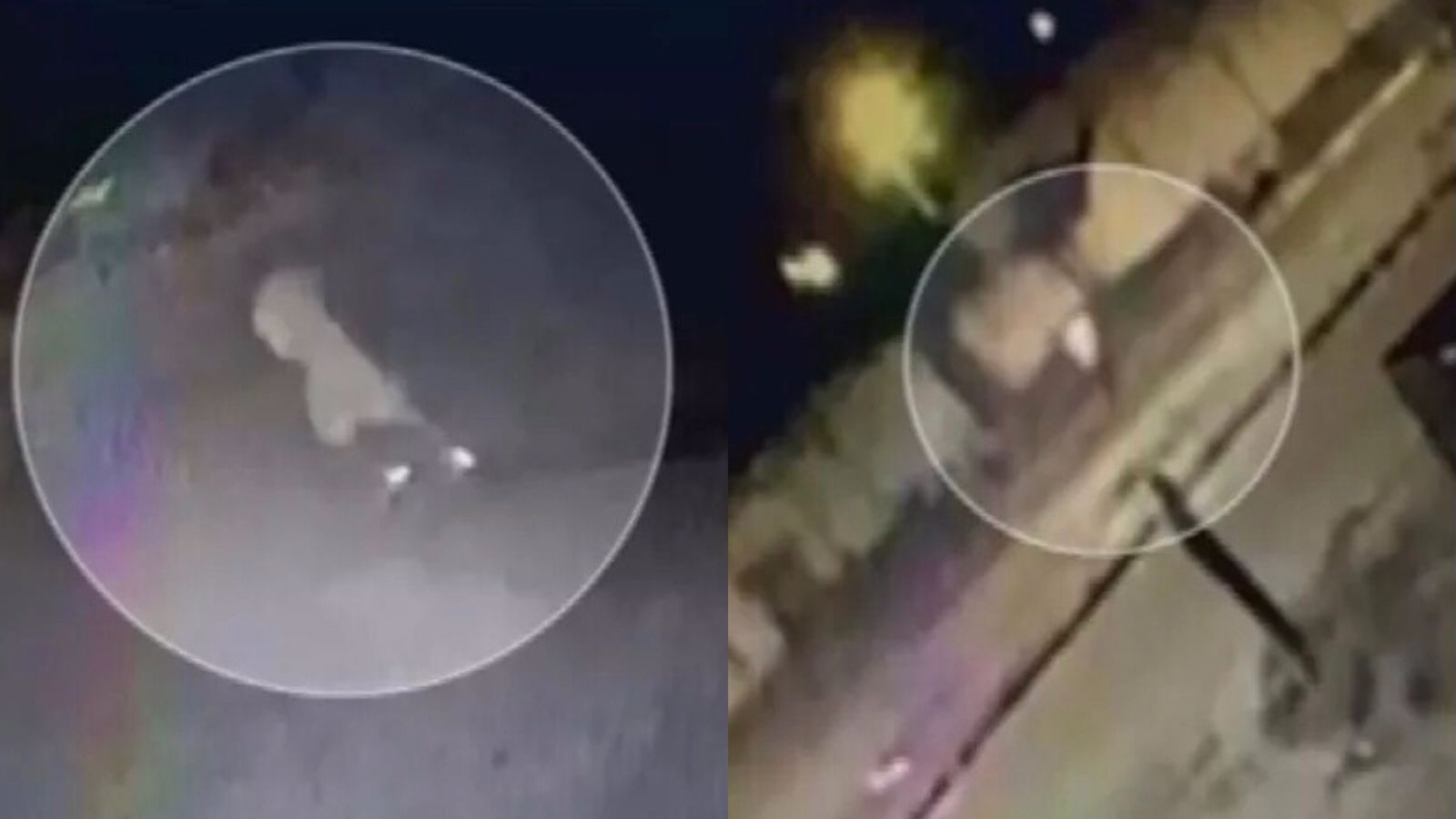 Homem é preso por tentar matar policial e diz que achou que agente perseguia a mulher dele em Luziânia (GO)