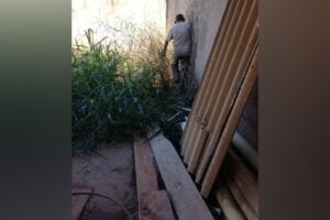 Fiscais encontraram foco do mosquito Aedes aegypti em 28,7% dos imóveis vistoriados no 1º dia de força tarefa contra a dengue, em Goiânia. (Foto: divulgação/Prefeitura)