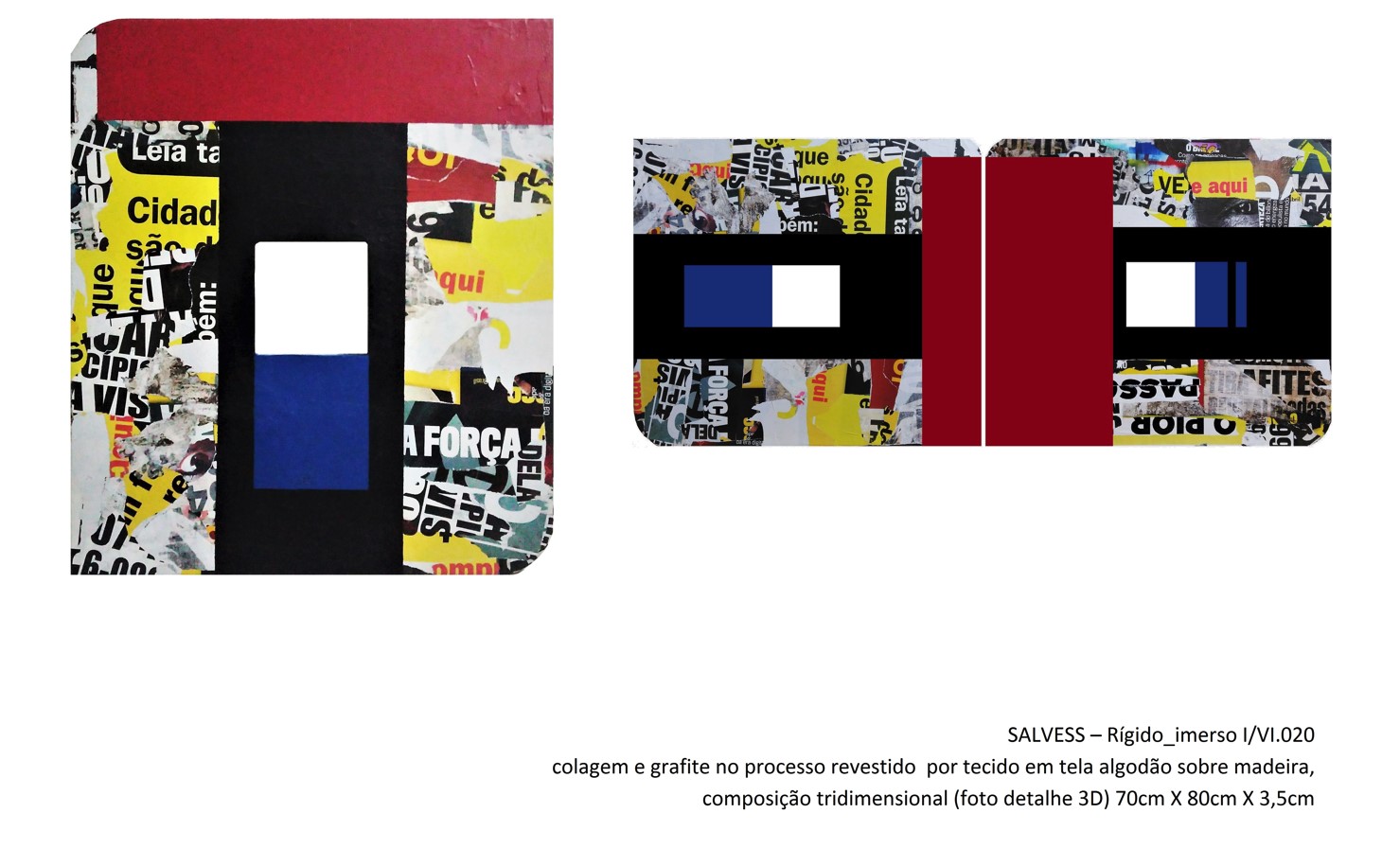 Exposição na Vila Cultural Cora Coralina apresenta obras do artista Salvess