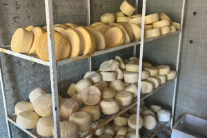 A Polícia Civil realizou, nesta terça-feira (26), uma operação para investigar o roubo de mais de uma tonelada de queijo, no Assentamento Santa Marta. Durante a ação, agentes cumpriram um mandado de prisão temporária e busca e apreensão contra um rapaz de 27 anos, em Rubiataba; e ainda cumpriram um mandado de busca e apreensão em um chácara de Rialma. Um outro homem, de 57 anos, acabou preso por posse ilegal das armas de fogo e receptação qualificada de queijo.