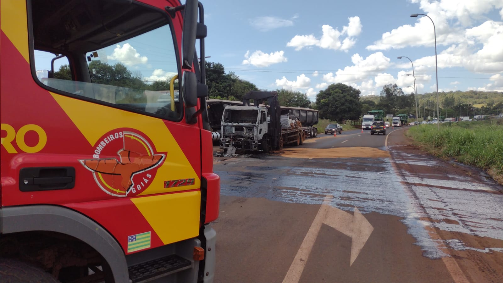 Caminhão pega fogo e motorista sai ileso na BR-060 em Jataí (GO)