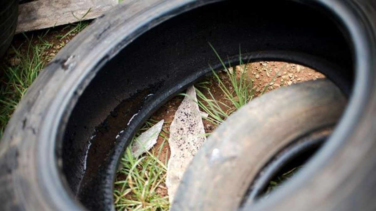 Estado de emergência: Caldas (GO) cria força-tarefa contra dengue