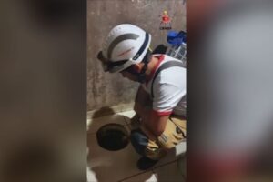 Bebê de 1 ano tem princípio de afogamento após cair em caixa de gordura no DF