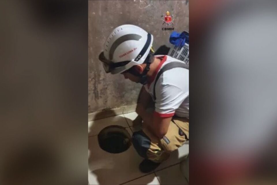 Bebê de 1 ano tem princípio de afogamento após cair em caixa de gordura no DF
