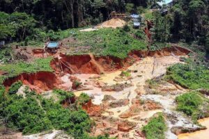 Funai diz não ter encontrado indícios de crimes em terra Yanomami