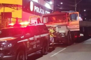 Bandidos abandonam caminhão roubado em Campo Alegre (GO), mas levam carga (Foto: Divulgação/Polícia Civil)