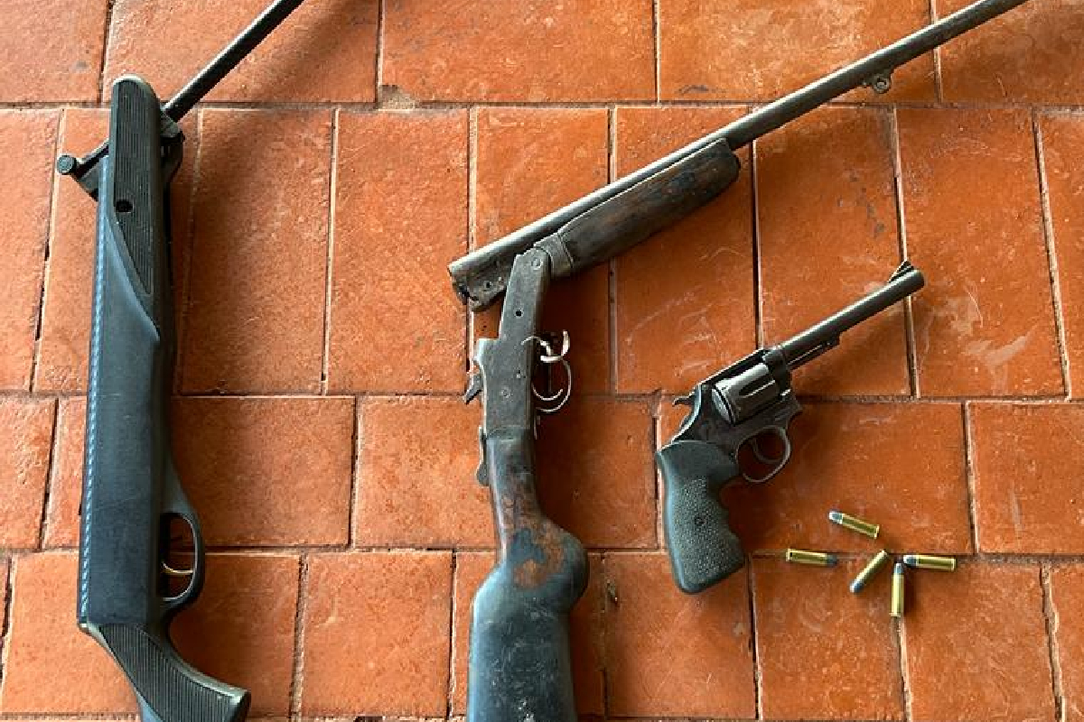Durante a operação que culminou na prisão da dupla, a polícia apreendeu um revólver calibre 38, uma espingarda calibre 32, além de mais de 400 quilos de queijo