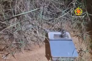 Cobra píton é solta por engano no DF após ser confundida com jiboia por PMs