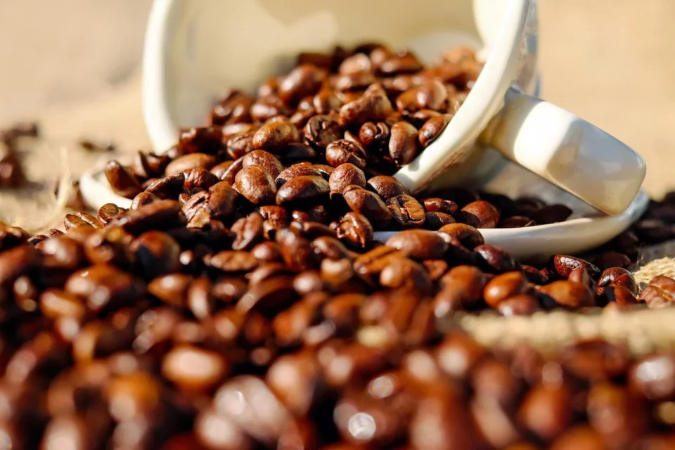 cafe-1576552_1280