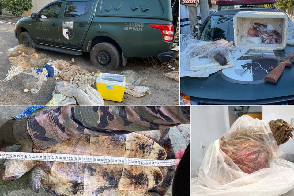 Operação cumpre 14 mandados de busca e apreensão em Aruanã (GO) sobre pesca predatória